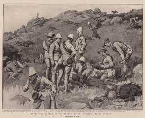 Après la bataille à Potgieter